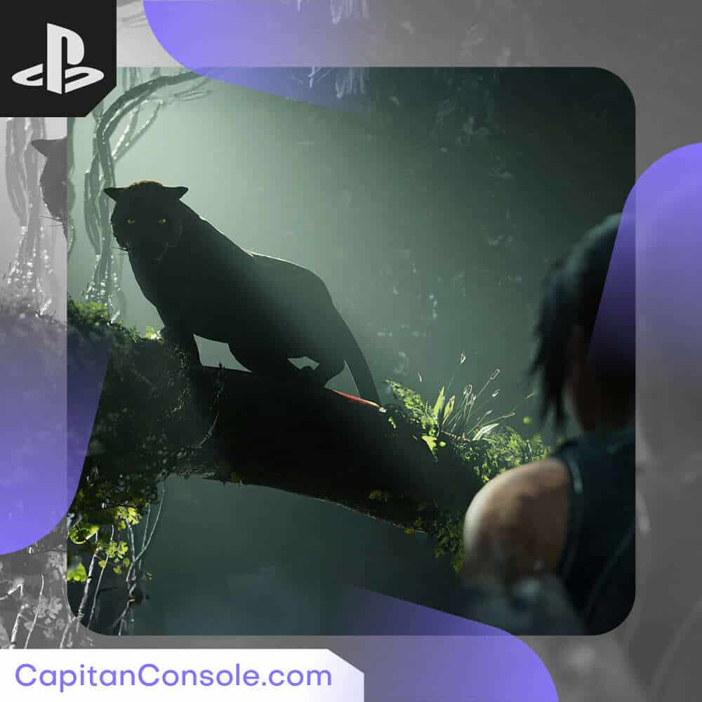 اکانت ظرفیتی قانونی بازی Shadow of the Tomb Raider Definitive Edition برای PS4 و PS5 - Image 3