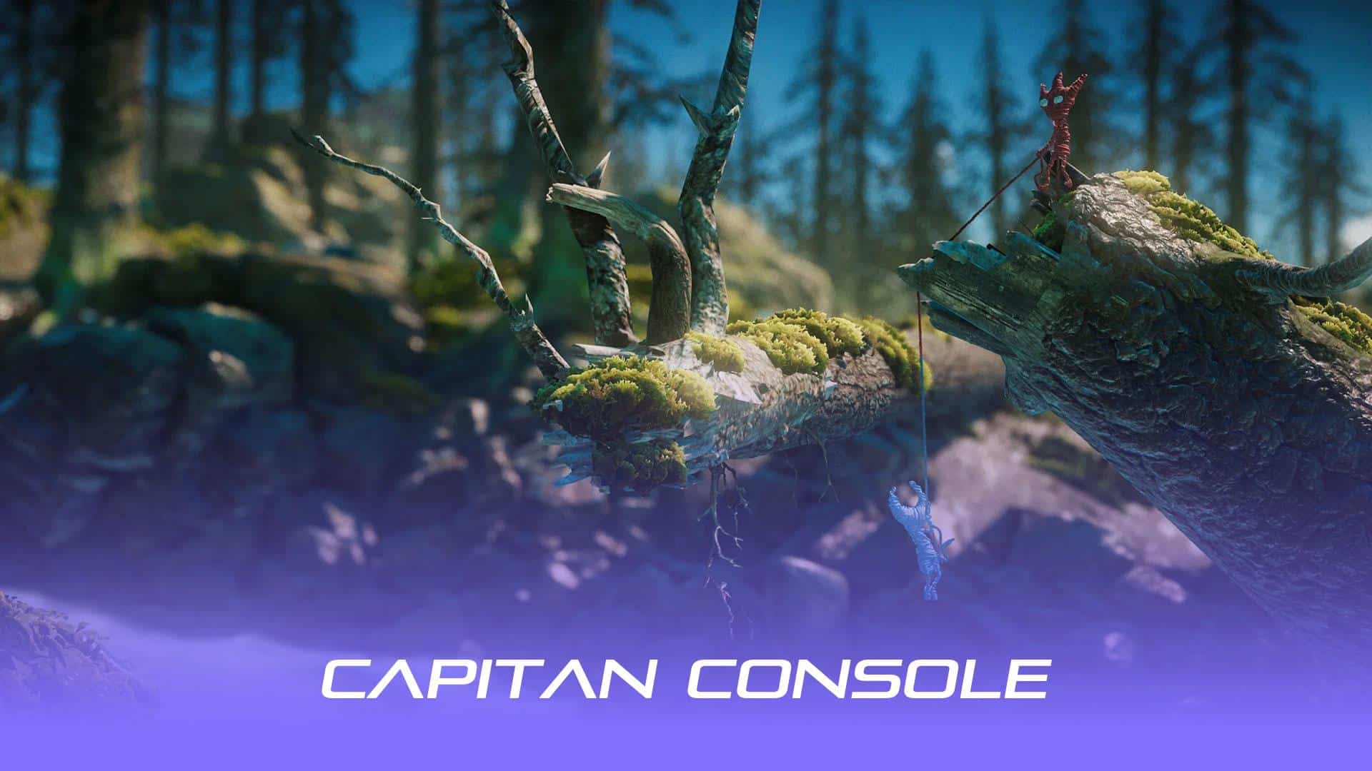 صعود و فرود (Climb & Rappel) 