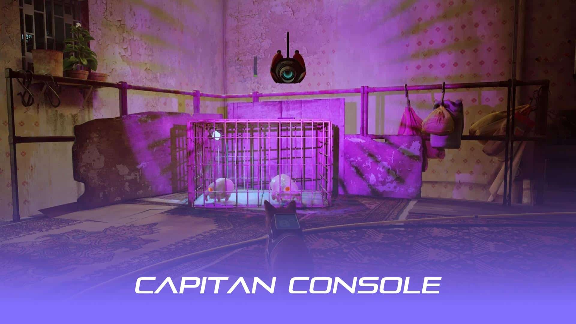 تصویری از اسکن کردن