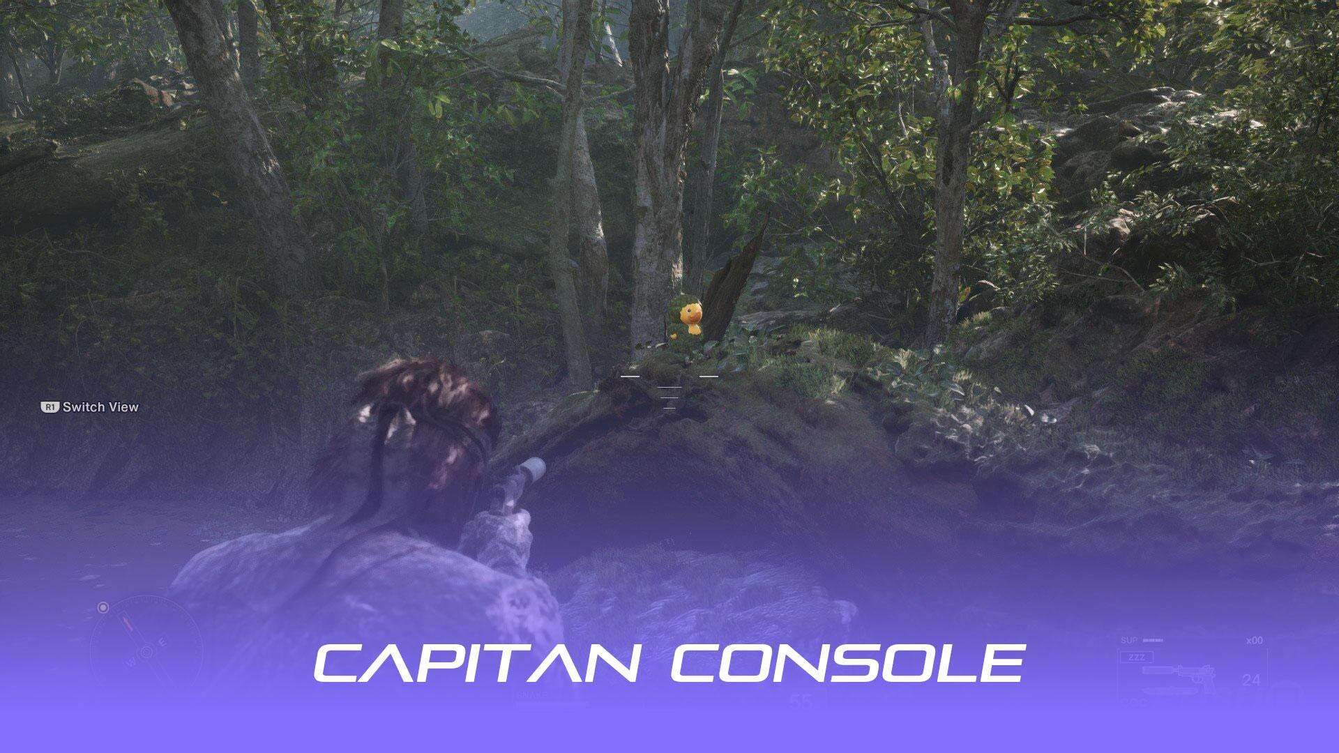 باتلاق درموچی (Dremuchij Swampland) 